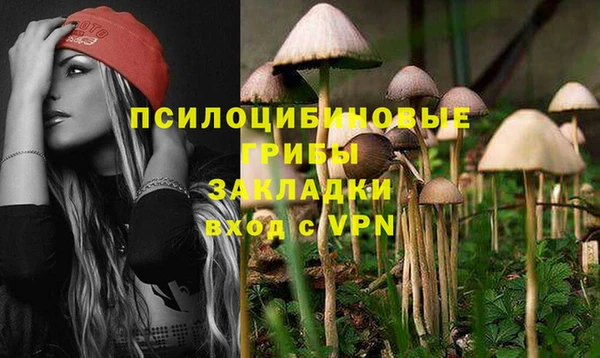 тгк Всеволожск