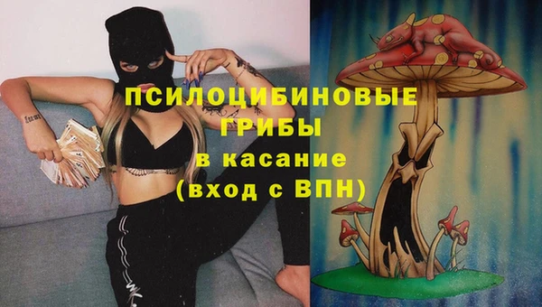 сатива Богданович