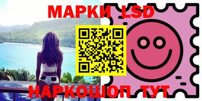 прущие грибы Абакан