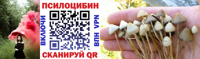 kraken   закладки  Ставрополь  Псилоцибиновые грибы мухоморы 