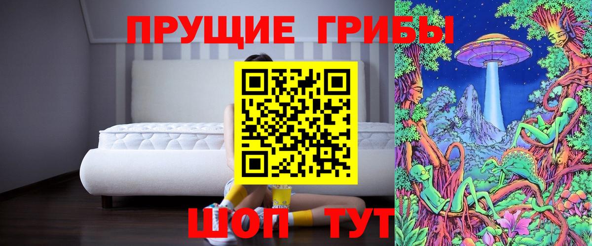 магазин    Вход с VPN  Галлюциногенные грибы прущие грибы  Ставрополь  Псилоцибиновые грибы Cubensis 