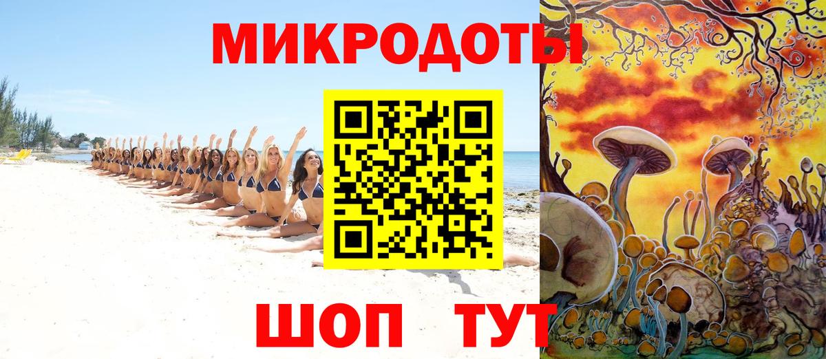 Псилоцибиновые грибы Ставрополь